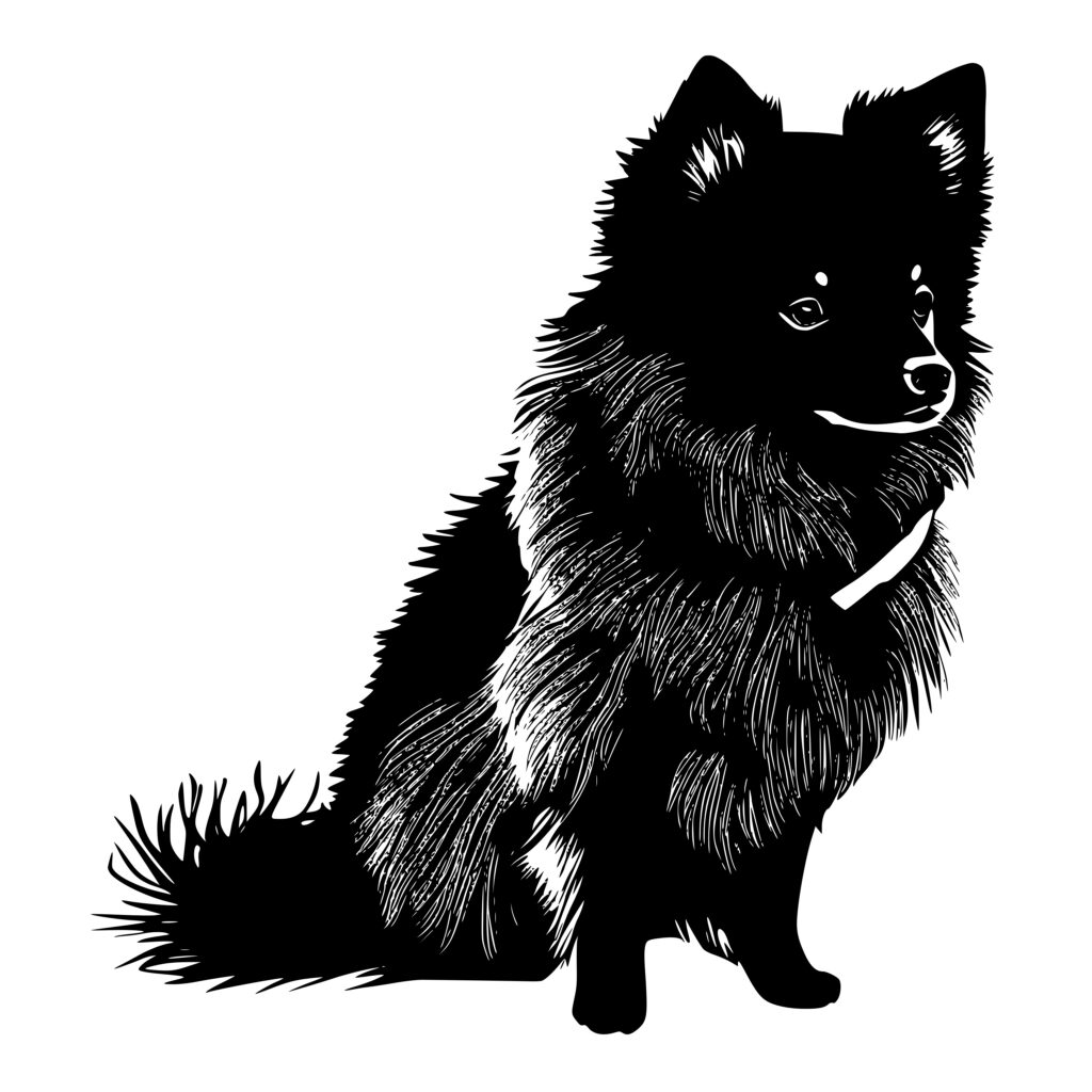 American Eskimo SVG File Instant Download For Cricut Silhouette Laser