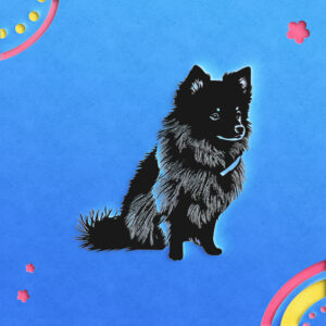 410_American_Eskimo_with_a_scarf_8939-transparent-paper_cut_out_1.jpg