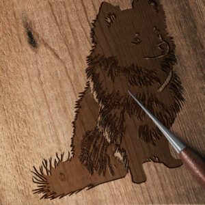 410_American_Eskimo_with_a_scarf_8939-transparent-wood_etching_1.jpg