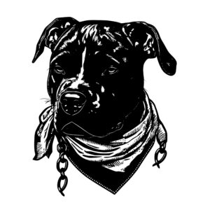 412_American_Pit_Bull_Terrier_with_a_bandana_3974.jpeg