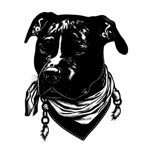 416_American_Pit_Bull_Terrier_with_a_bandana_2689.jpeg