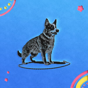 423_Australian_Cattle_Dog_with_a_lasso_4851-transparent-paper_cut_out_1.jpg
