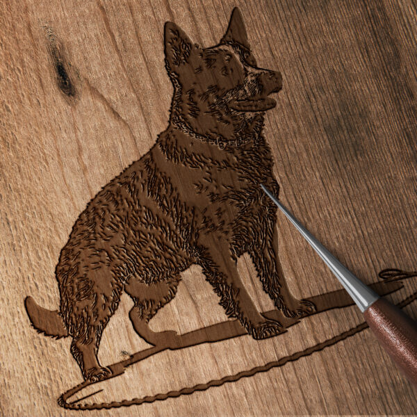 423_Australian_Cattle_Dog_with_a_lasso_4851-transparent-wood_etching_1.jpg