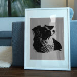 425_Australian_Shepherd_9796-transparent-picture_frame_1.jpg