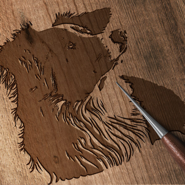 425_Australian_Shepherd_9796-transparent-wood_etching_1.jpg