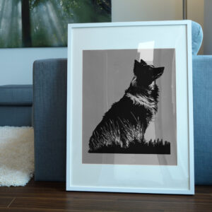 427_Border_Collie_5140-transparent-picture_frame_1.jpg