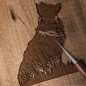 427_Border_Collie_5140-transparent-wood_etching_1.jpg