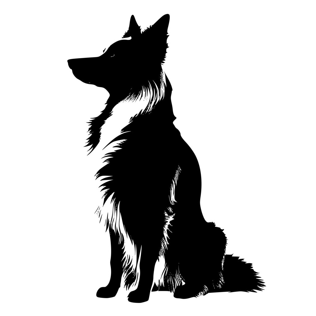 Border Collie SVG, PNG, DXF Files for Cricut, Silhouette, Laser