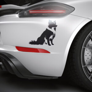430_Border_Collie_5529-transparent-car_sticker_1.jpg