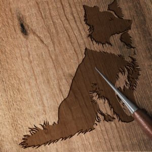 430_Border_Collie_5529-transparent-wood_etching_1.jpg