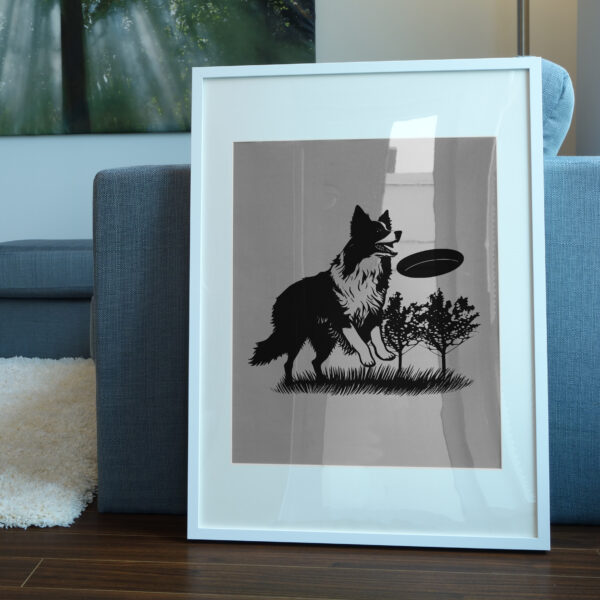 431_Border_Collie_with_a_Frisbee_7765-transparent-picture_frame_1.jpg