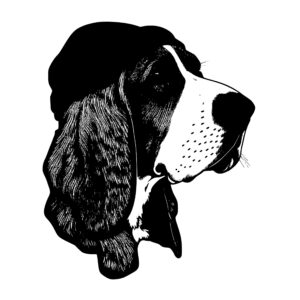 433_Basset_Hound_with_a_beret_8616.jpeg