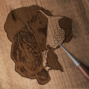 433_Basset_Hound_with_a_beret_8616-transparent-wood_etching_1.jpg