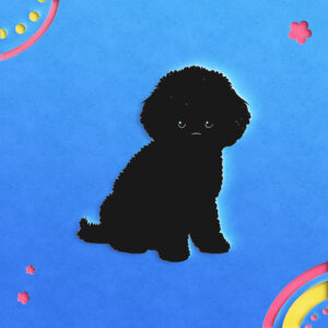 442_Bichon_Frise_1939-transparent-paper_cut_out_1.jpg