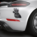 446_Australian_Terrier_with_a_hat_3508-transparent-car_sticker_1.jpg