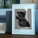 446_Australian_Terrier_with_a_hat_3508-transparent-picture_frame_1.jpg