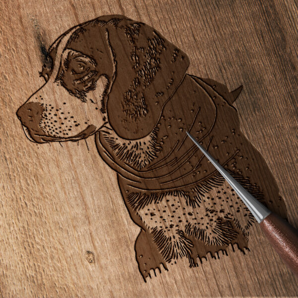 449_Beagle_with_a_bandana_2502-transparent-wood_etching_1.jpg