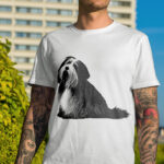 452_Bearded_Collie_with_a_brush_1540-transparent-tshirt_1.jpg