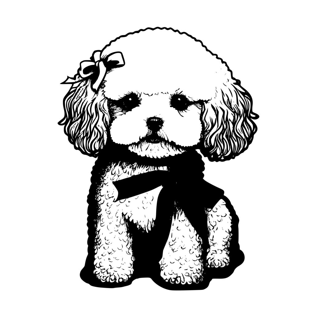 Bichon frise with a ribbon creative meadow
