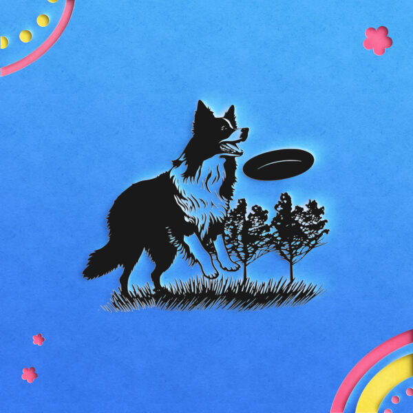 460_Border_Collie_with_a_Frisbee_9517-transparent-paper_cut_out_1.jpg