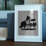 460_Border_Collie_with_a_Frisbee_9517-transparent-picture_frame_1.jpg