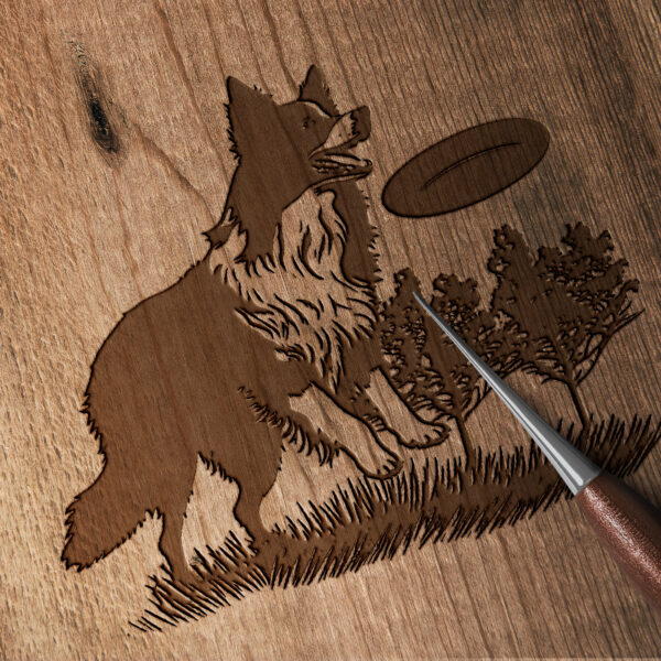 460_Border_Collie_with_a_Frisbee_9517-transparent-wood_etching_1.jpg