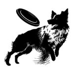 461_Border_Collie_with_a_Frisbee_4245.jpeg