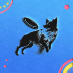 461_Border_Collie_with_a_Frisbee_4245-transparent-paper_cut_out_1.jpg