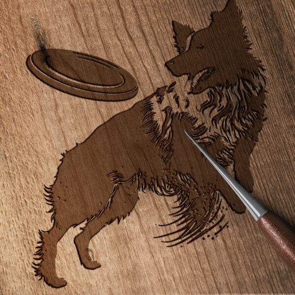 461_Border_Collie_with_a_Frisbee_4245-transparent-wood_etching_1.jpg