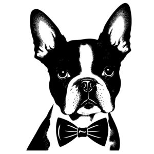 Boston Terrier With A Bow Tie