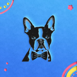 463_Boston_Terrier_with_a_bow_tie_9064-transparent-paper_cut_out_1.jpg