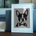 463_Boston_Terrier_with_a_bow_tie_9064-transparent-picture_frame_1.jpg