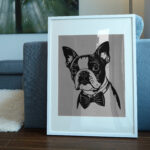 464_Boston_Terrier_with_a_bow_tie_7862-transparent-picture_frame_1.jpg