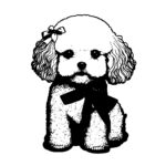 Bichon Frise With A Ribbon