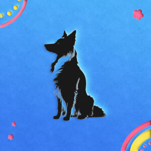 470_Border_Collie_5603-transparent-paper_cut_out_1.jpg