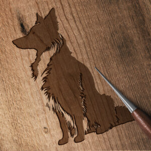 470_Border_Collie_5603-transparent-wood_etching_1.jpg