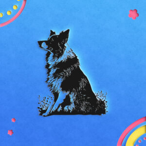 471_Border_Collie_4051-transparent-paper_cut_out_1.jpg