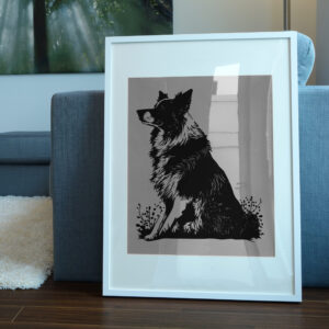 471_Border_Collie_4051-transparent-picture_frame_1.jpg
