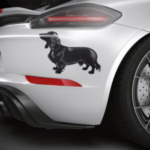 483_Dachshund_9575-transparent-car_sticker_1.jpg
