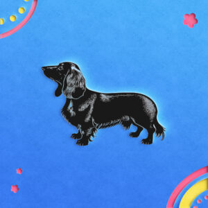483_Dachshund_9575-transparent-paper_cut_out_1.jpg
