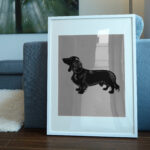 483_Dachshund_9575-transparent-picture_frame_1.jpg