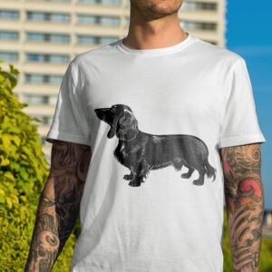 483_Dachshund_9575-transparent-tshirt_1.jpg