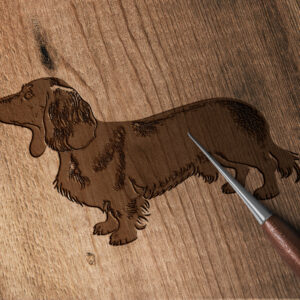 483_Dachshund_9575-transparent-wood_etching_1.jpg