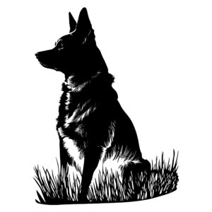 493_Dog_4572.jpeg