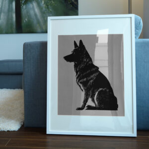 499_German_Shepherd_7600-transparent-picture_frame_1.jpg