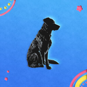 501_Dog_sitting_attentively_5436-transparent-paper_cut_out_1.jpg
