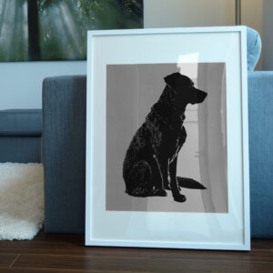 501_Dog_sitting_attentively_5436-transparent-picture_frame_1.jpg