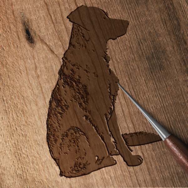 501_Dog_sitting_attentively_5436-transparent-wood_etching_1.jpg
