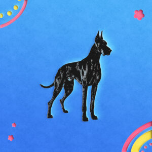 503_Great_Dane_1037-transparent-paper_cut_out_1.jpg