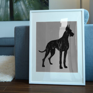 503_Great_Dane_1037-transparent-picture_frame_1.jpg